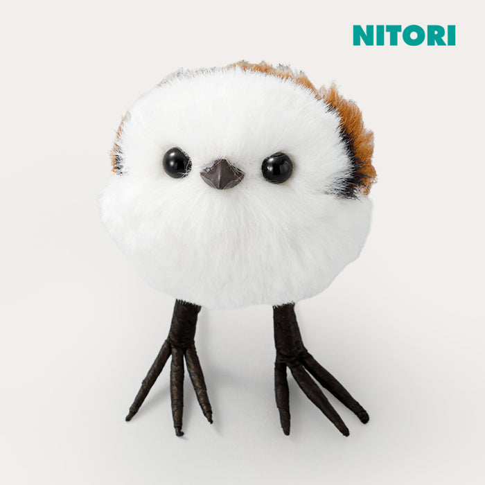 니토리 크리스마스 장식 오목눈이