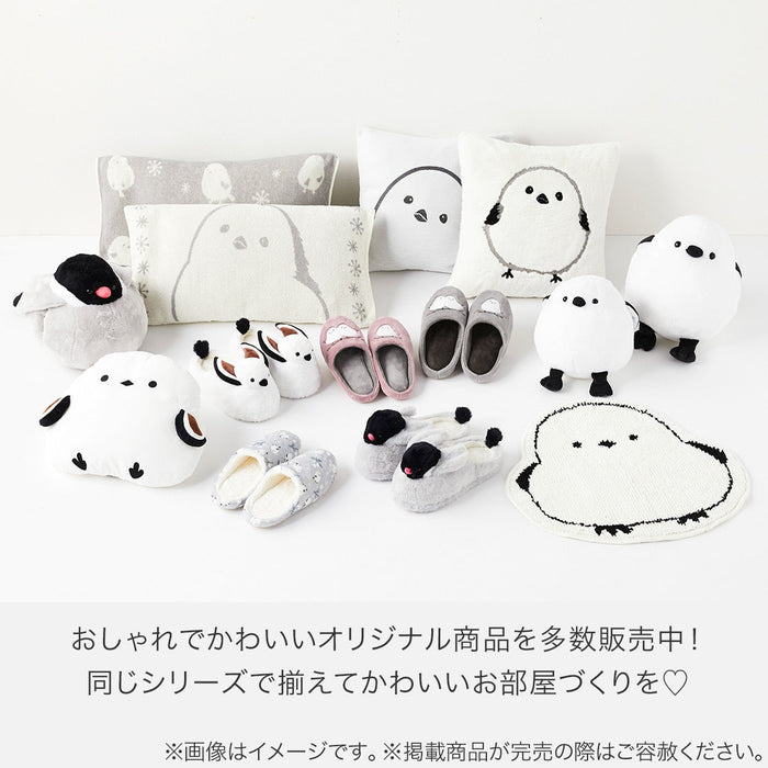 악센트 매트 오목눈이 Cfm03