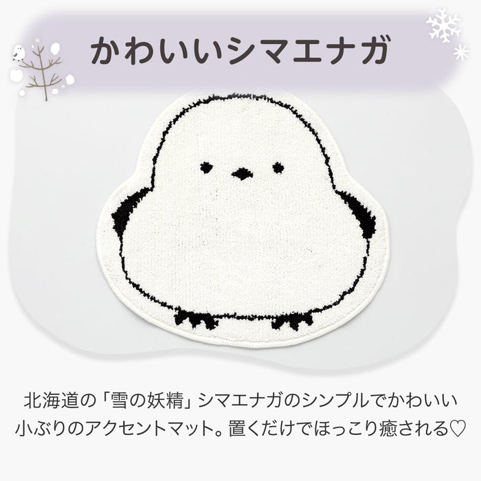 악센트 매트 오목눈이 Cfm03