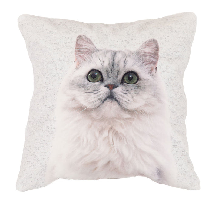 쿠션커버 퍼 캣 FP2401 C