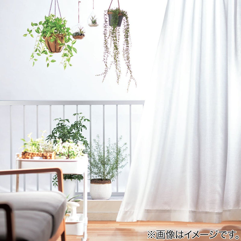레이스커튼 에코내추럴 플레인 1장 (3Size)