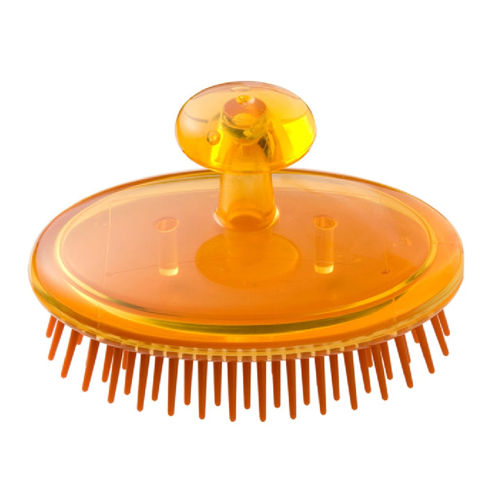 허니&로얄젤리 샴푸 브러시