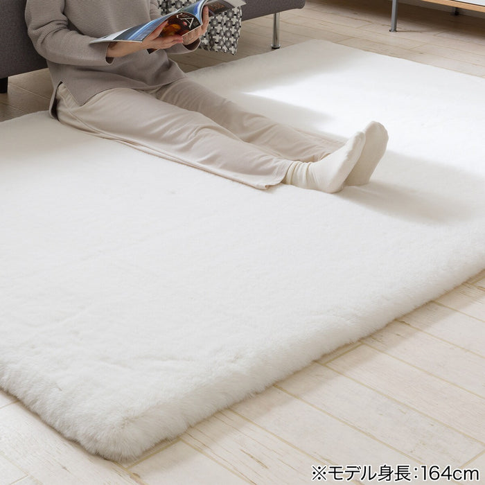 우사기러그SP ZGKR