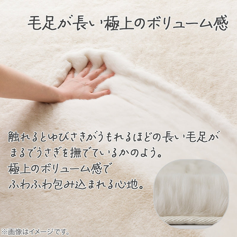 우사기러그SP ZGKR