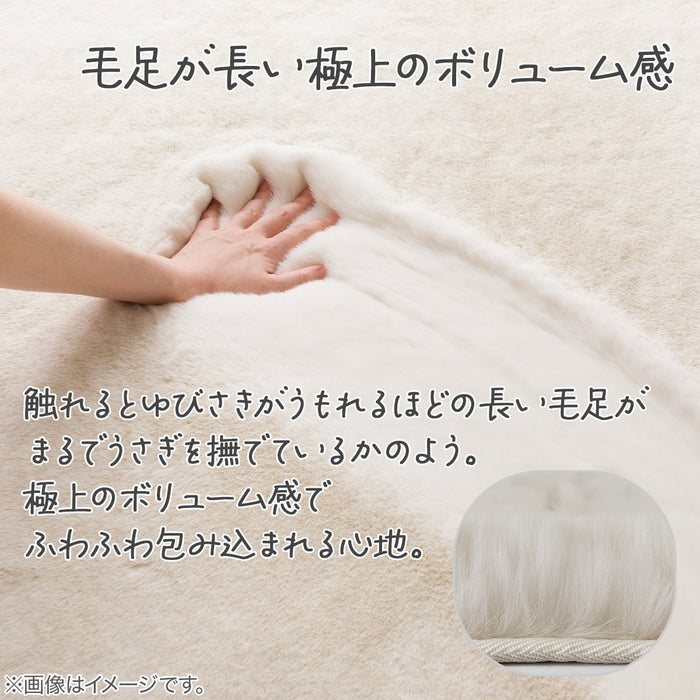 우사기러그SP ZGKR