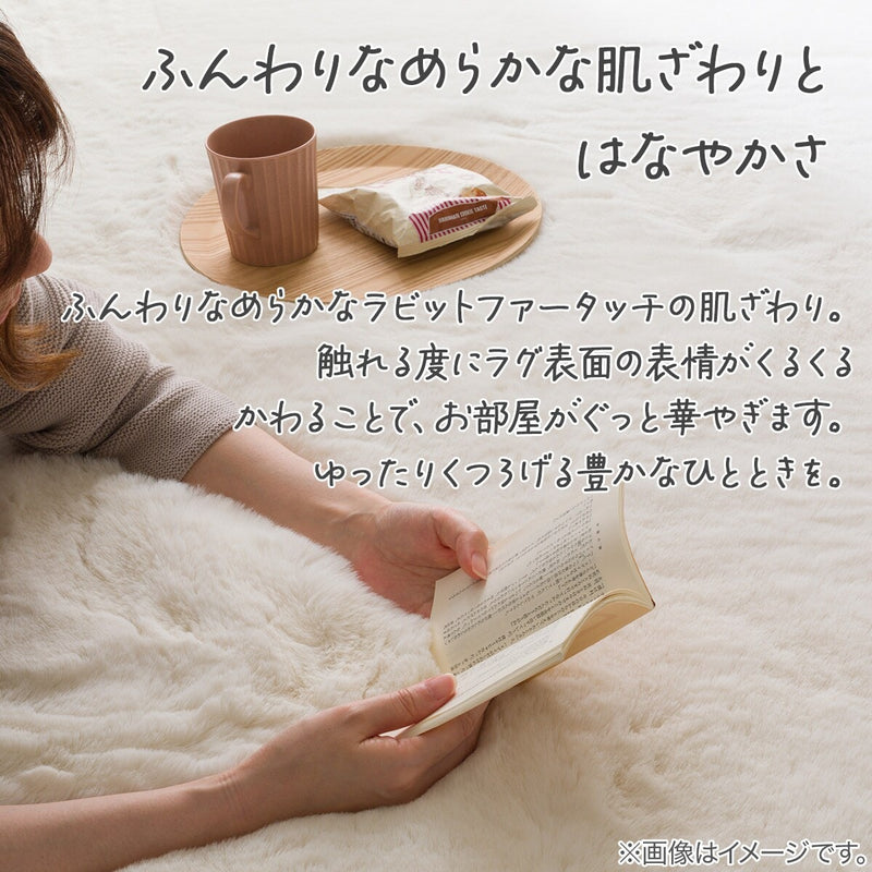 우사기러그SP ZGKR