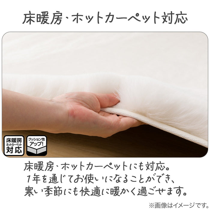 우사기러그SP ZGKR