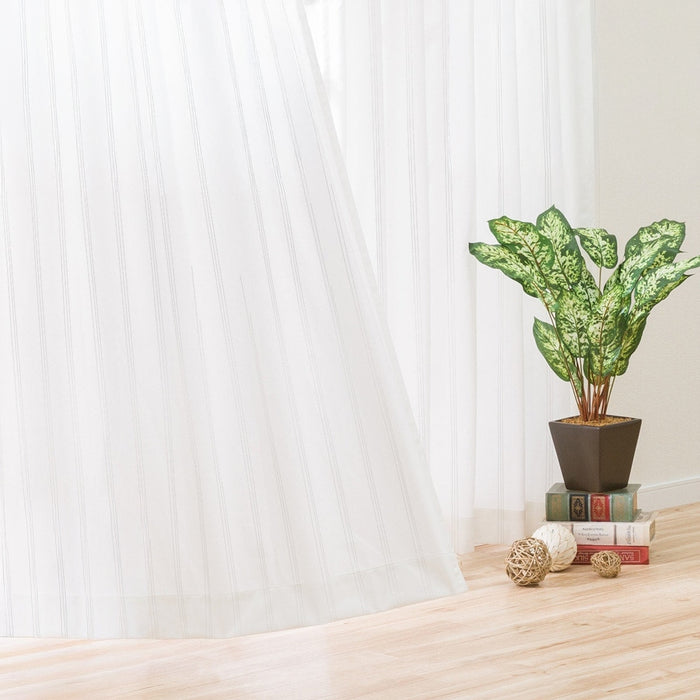 레이스커튼 캐치C소닉 (3Size)