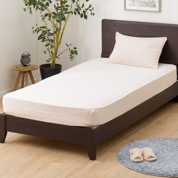 박스시트 폴리워시 (S-D)