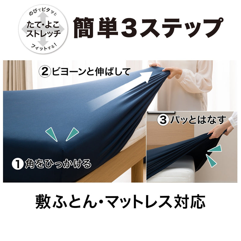 N-Fit 멀티시트 팔레트 (S-D)