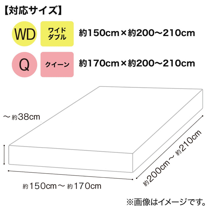 멀티 핏 시트 NFIT 팔레트 KBE WD-Q