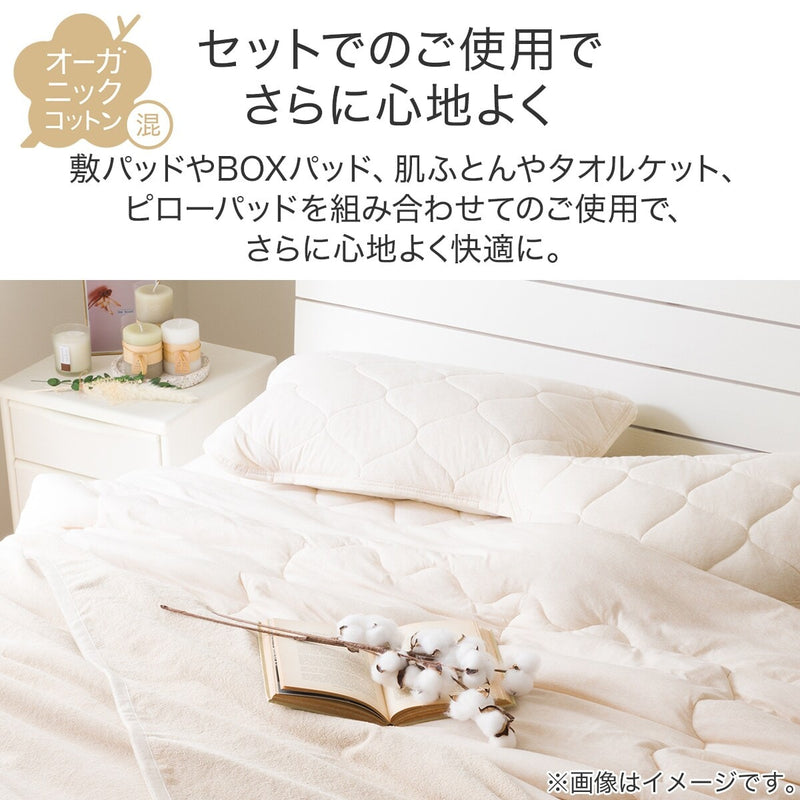 얇은이불OG2 (S)