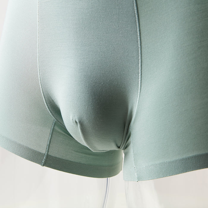 남성 모달 브리프