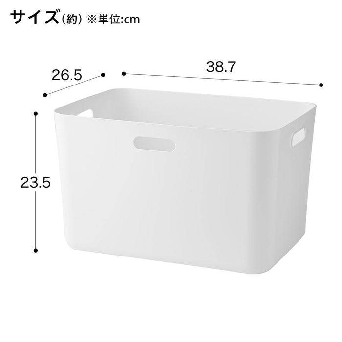 소프트 N인박스 레귤러