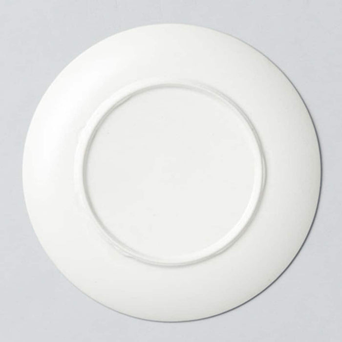 플레이트 LC 시리즈 20cm ASM