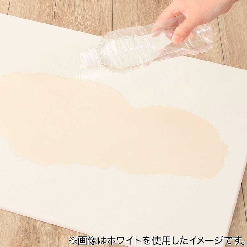 니토리 쾌적한 규조토 욕실 매트2 (40x55)