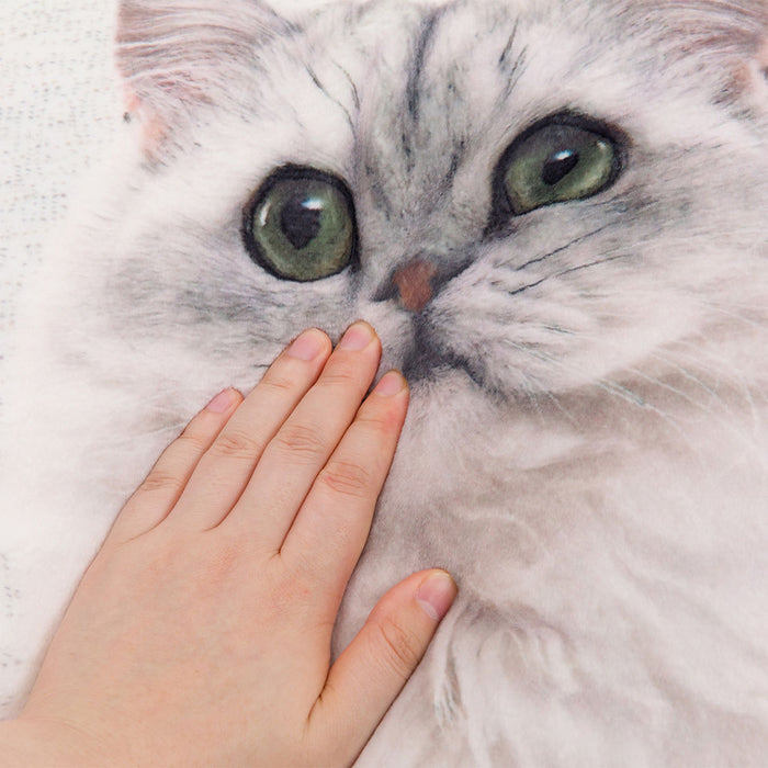 쿠션커버 퍼 캣 FP2401 C